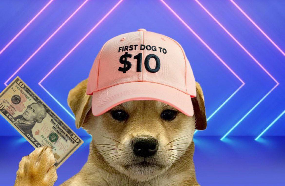 WIF wearing a pink baseball cap with "FIRST DOG TO $10" text, holding a ten-dollar bill against a purple neon background