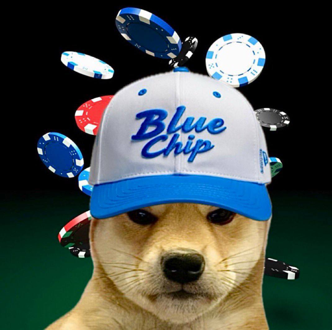$WIF wearing a white and blue "Blue Chip" baseball cap with poker chips flying in the background