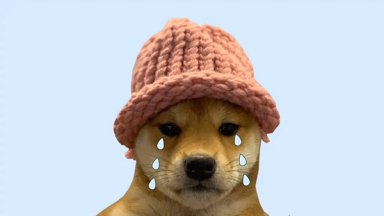 $WIF wearing a pink knitted hat with digital teardrop graphics on a light blue background