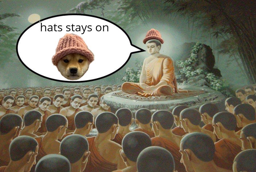 An illustration of a Buddha figure wearing a pink knitted hat, surrounded by followers, with a speech bubble saying "hats stays on" and $WIF