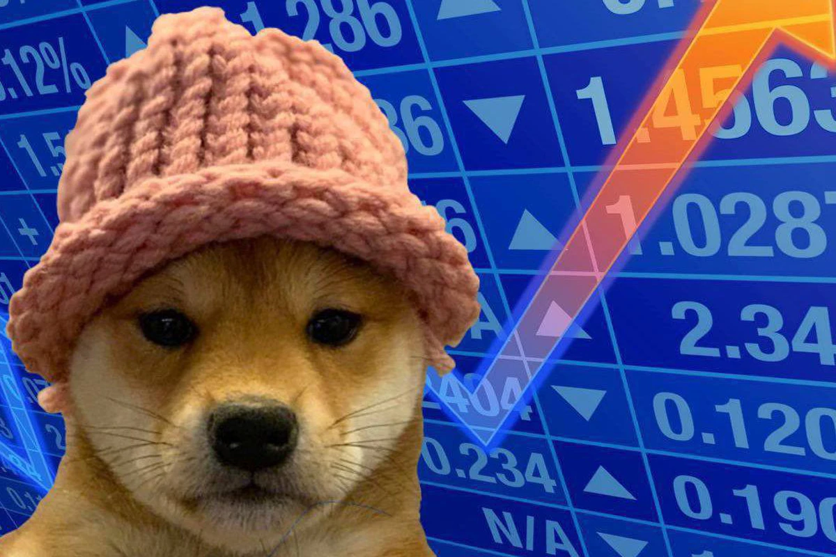 $WIF: The iconic "dog with a hat" leading the Solana memecoin market